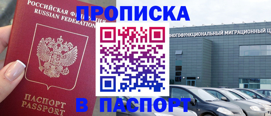 прописка для школы в Светлограде