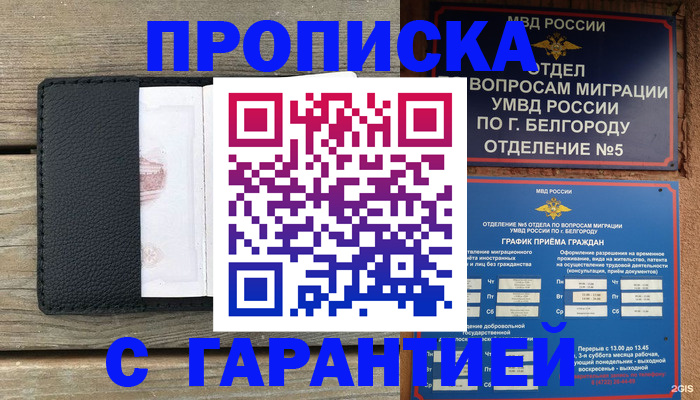 временная регистрация для всех в Светлограде